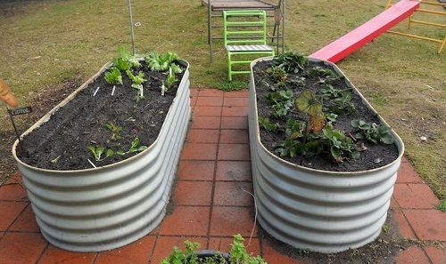 Galvanized vegetable raised bed gardens in Adelaide